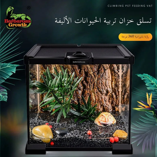 Terrario de vidrio ecológico Rainforest: ideal para lagartijas, ranas, cangrejos y arañas