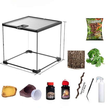 Terrario de vidrio ecológico Rainforest: ideal para lagartijas, ranas, cangrejos y arañas