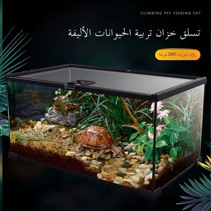 Terrario de vidrio ecológico Rainforest: ideal para lagartijas, ranas, cangrejos y arañas