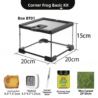 Terrario de vidrio ecológico Rainforest: ideal para lagartijas, ranas, cangrejos y arañas