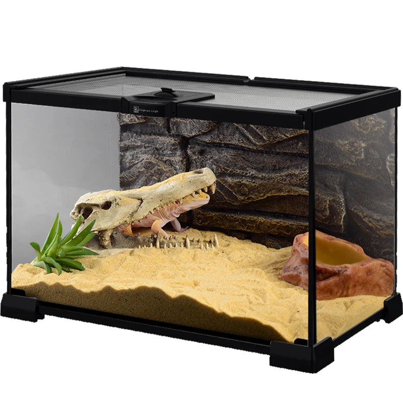 Terrario de vidrio ecológico Rainforest: ideal para lagartijas, ranas, cangrejos y arañas